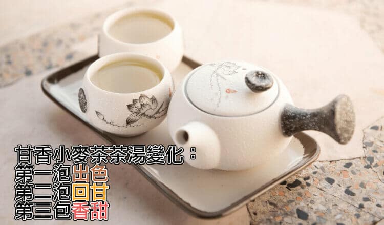 無咖啡因-甘香小麥茶 - 19